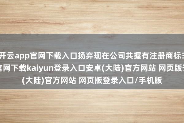 开云app官网下载入口扬弃现在公司共握有注册商标312件-开云app官网下载kaiyun登录入口安卓(大陆)官方网站 网页版登录入口/手机版