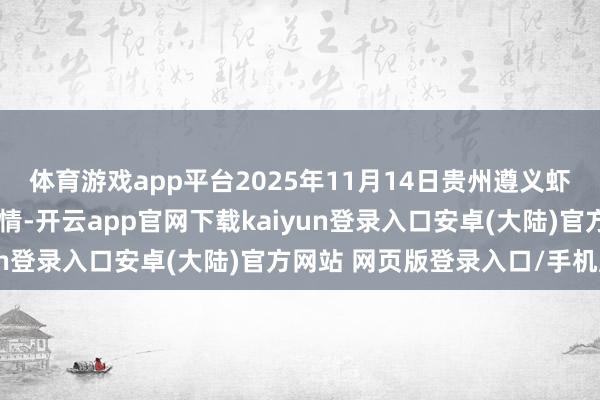 体育游戏app平台2025年11月14日贵州遵义虾子辣椒批发商场价钱行情-开云app官网下载kaiyun登录入口安卓(大陆)官方网站 网页版登录入口/手机版